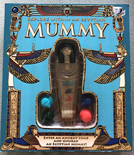 Explore Within an Egyptian Mummy