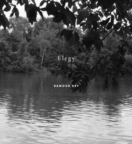 Dawoud Bey: Elegy