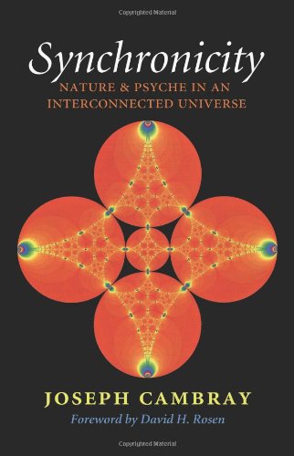 Synchronicity: Nature and Psyche in an Interconnected Universe (Carolyn and Ernest Fay Series in Analytical Psychology)