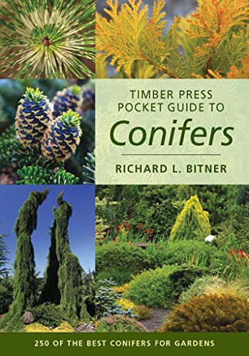 Timber Press Pocket Guide to Conifers (Timber Press Pocket Guides)