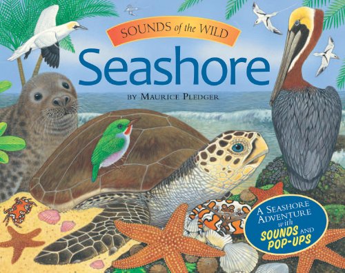 Seashore (Sounds of the Wild)