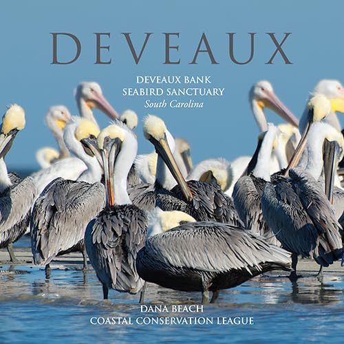Deveaux: Deveaux Bank Seabird Sanctuary, South Carolina