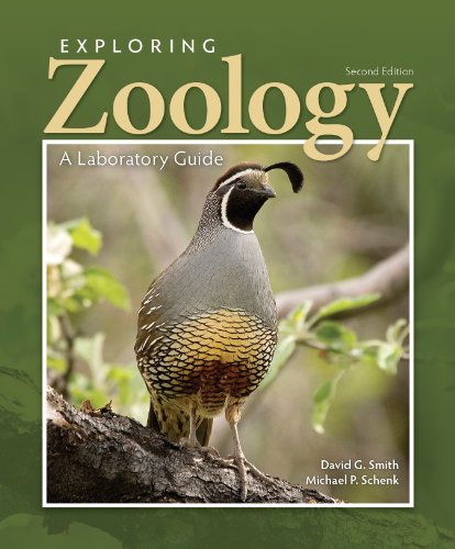 Exploring Zoology