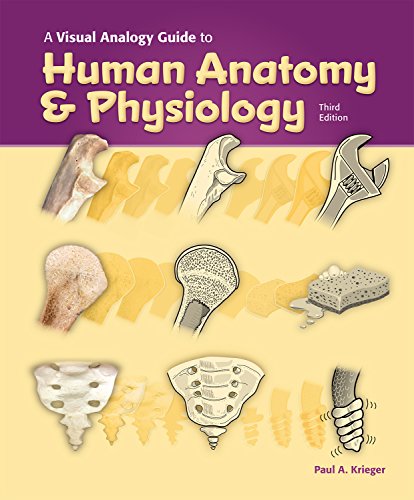 Visual Analogy Guide to Human Anatomy & Physiology