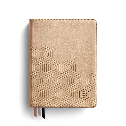 One Step Closer Bible NLT - Gold