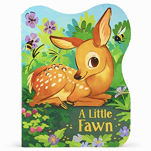 A Little Fawn: A Baby Deer Board Book