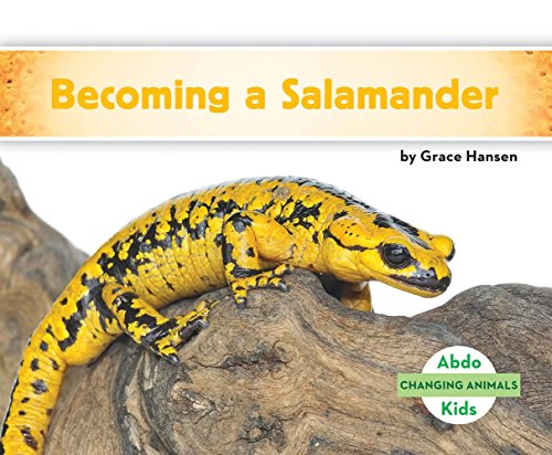 Becoming a Salamander (Changing Animals Set 1)