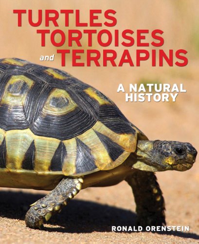 Turtles, Tortoises and Terrapins: A Natural History