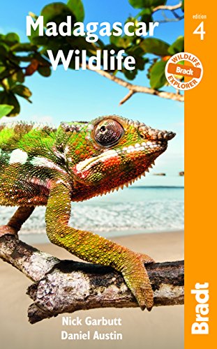 Madagascar Wildlife (Bradt Guides)
