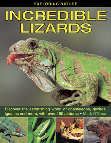 Exploring Nature: Incredible Lizards: Discover the Astonishing World of Chameleons, Geckos, Iguanas and More, With Over 190 Pictures