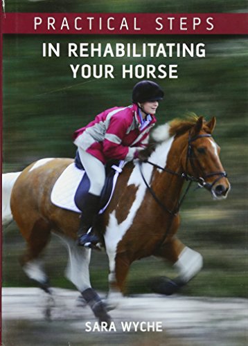 Practical Steps in Rehabilitating Your Horse