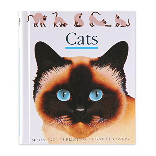 Cats (First Discovery)