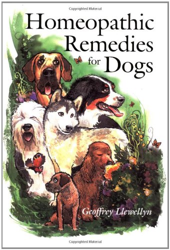 Homeopathic Remedies for Dogs
