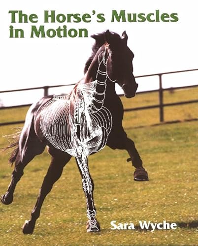 The Horse's Muscles in Motion