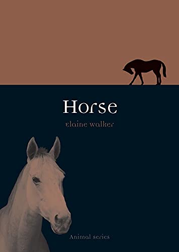 Horse (Animal)