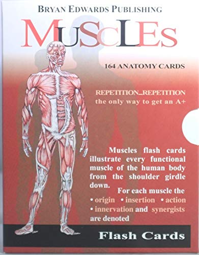 The Muscles (Flash Cards) (Flash Anatomy)