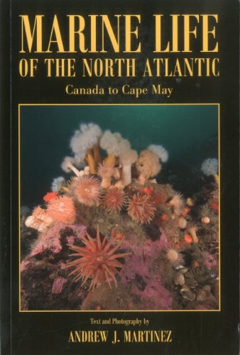 Marine Life of the North Atlantic: Canada to Cape May