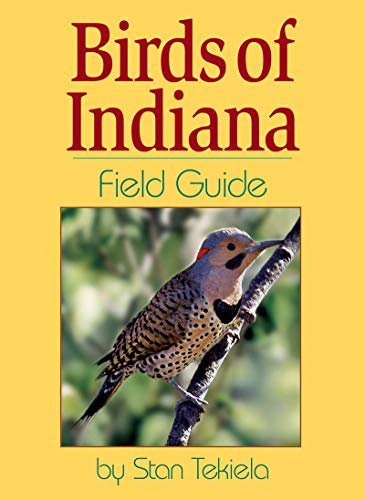 Birds of Indiana Field Guide (Bird Identification Guides)