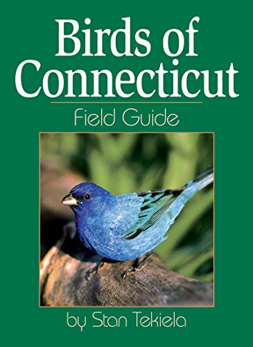 Birds of Connecticut Field Guide (Bird Identification Guides)