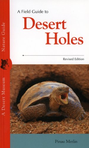 A Field Guide to Desert Holes