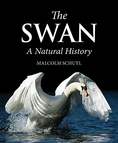 The Swan: A Natural History