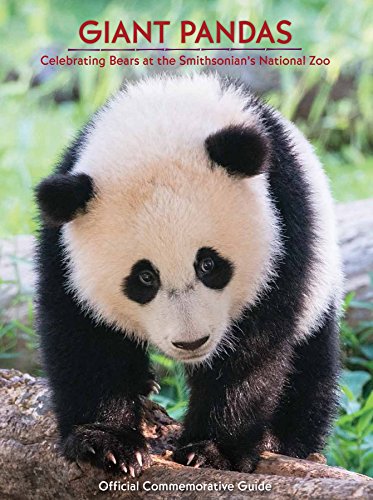 Giant Pandas - Celebrating Bears at the National Zoo