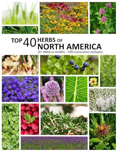 Top 40 Herbs of North America