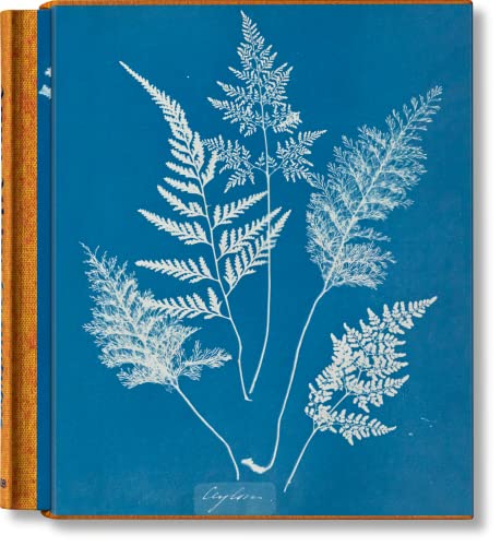 Anna Atkins: Cyanotypes