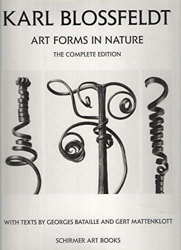 Karl Blossfeldt: Art Forms in Nature