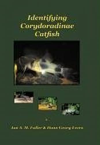 Identifying Corydoradinae Catfish - Corydoras