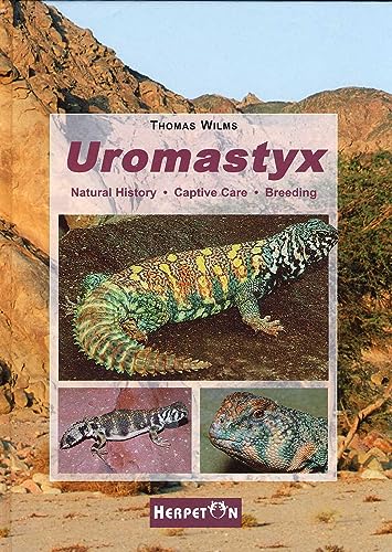 Uromastyx: Natural History, Captive Care, Breeding (Spiny-Tailed Lizards)