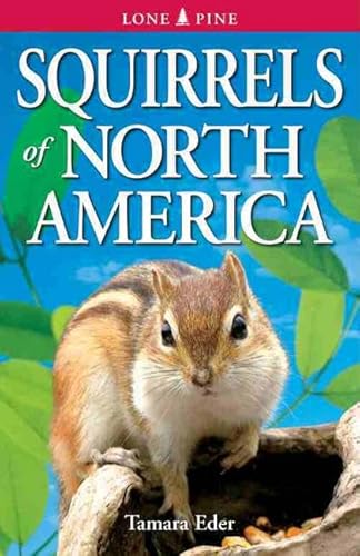 Squirrels of North America